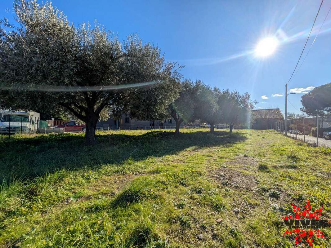 Terrain à POUZOLLES