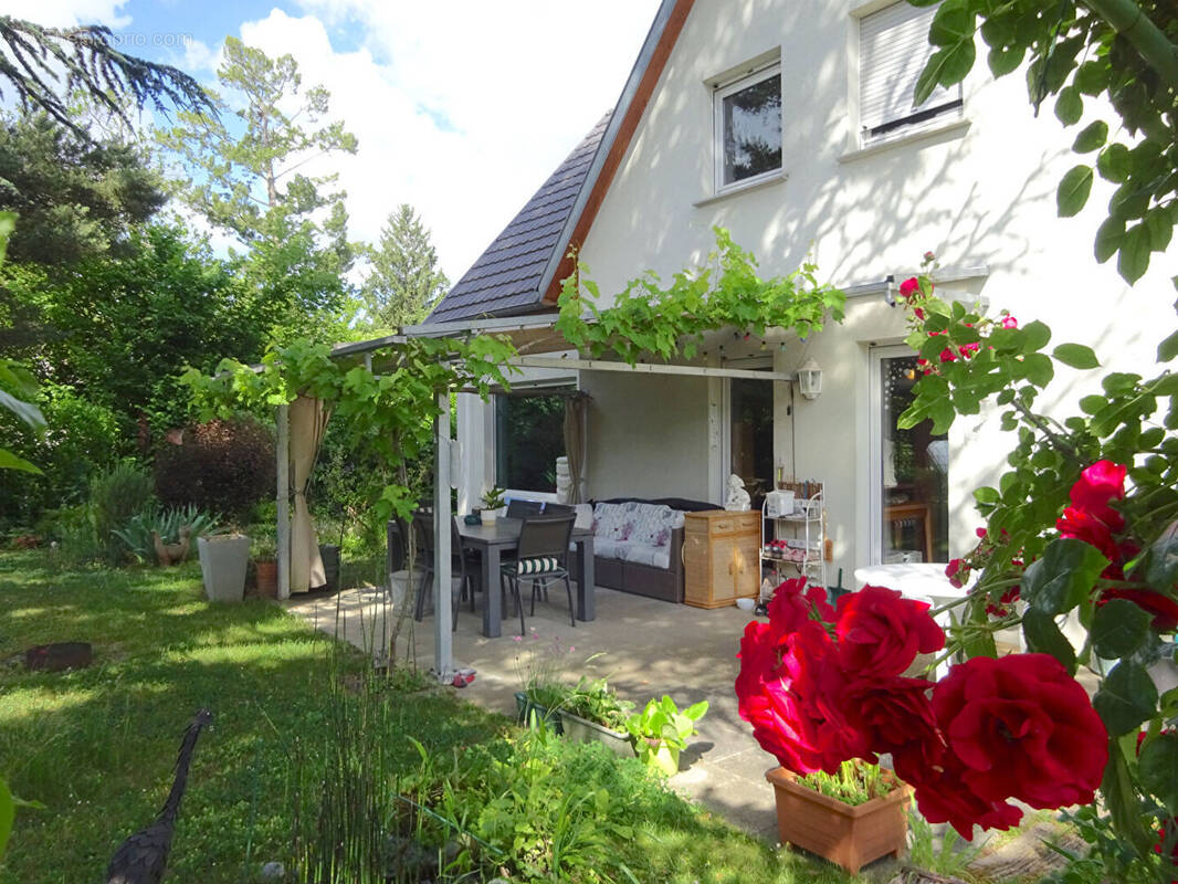 Maison à RIEDISHEIM