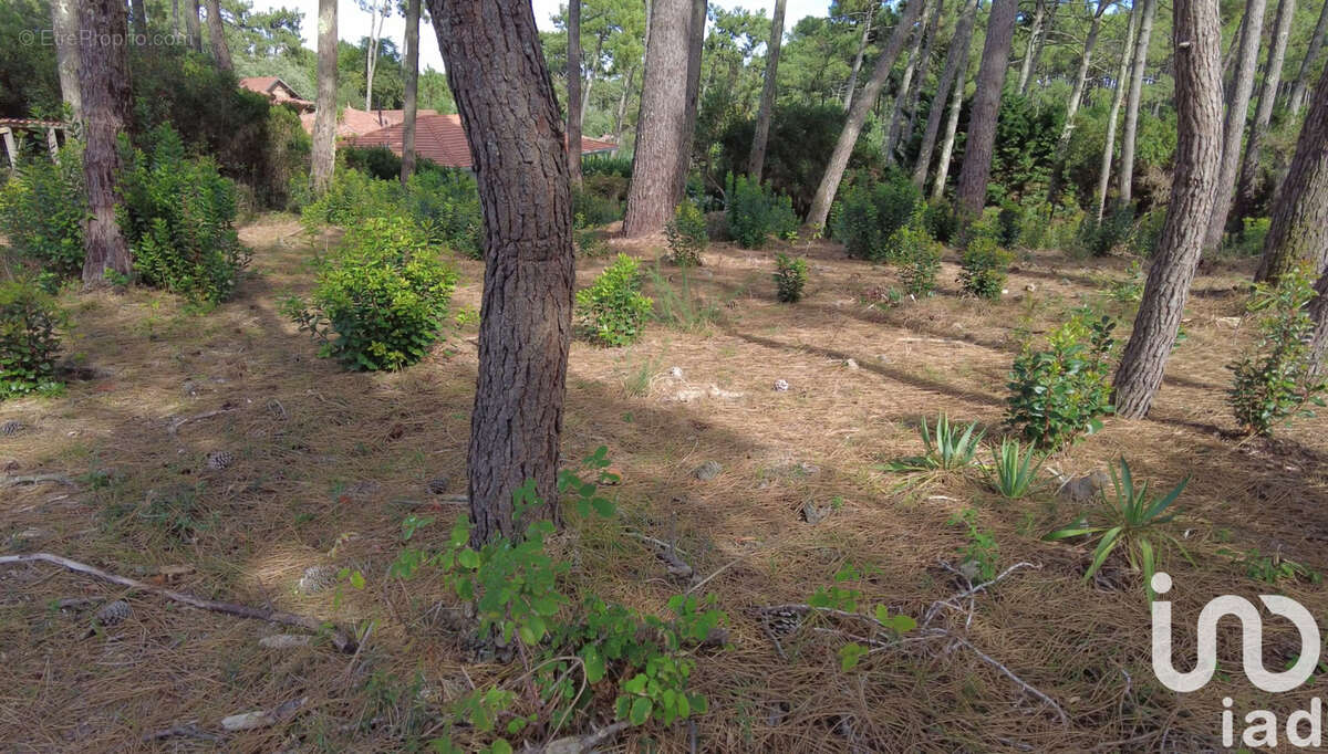 Photo 2 - Terrain à LEGE-CAP-FERRET