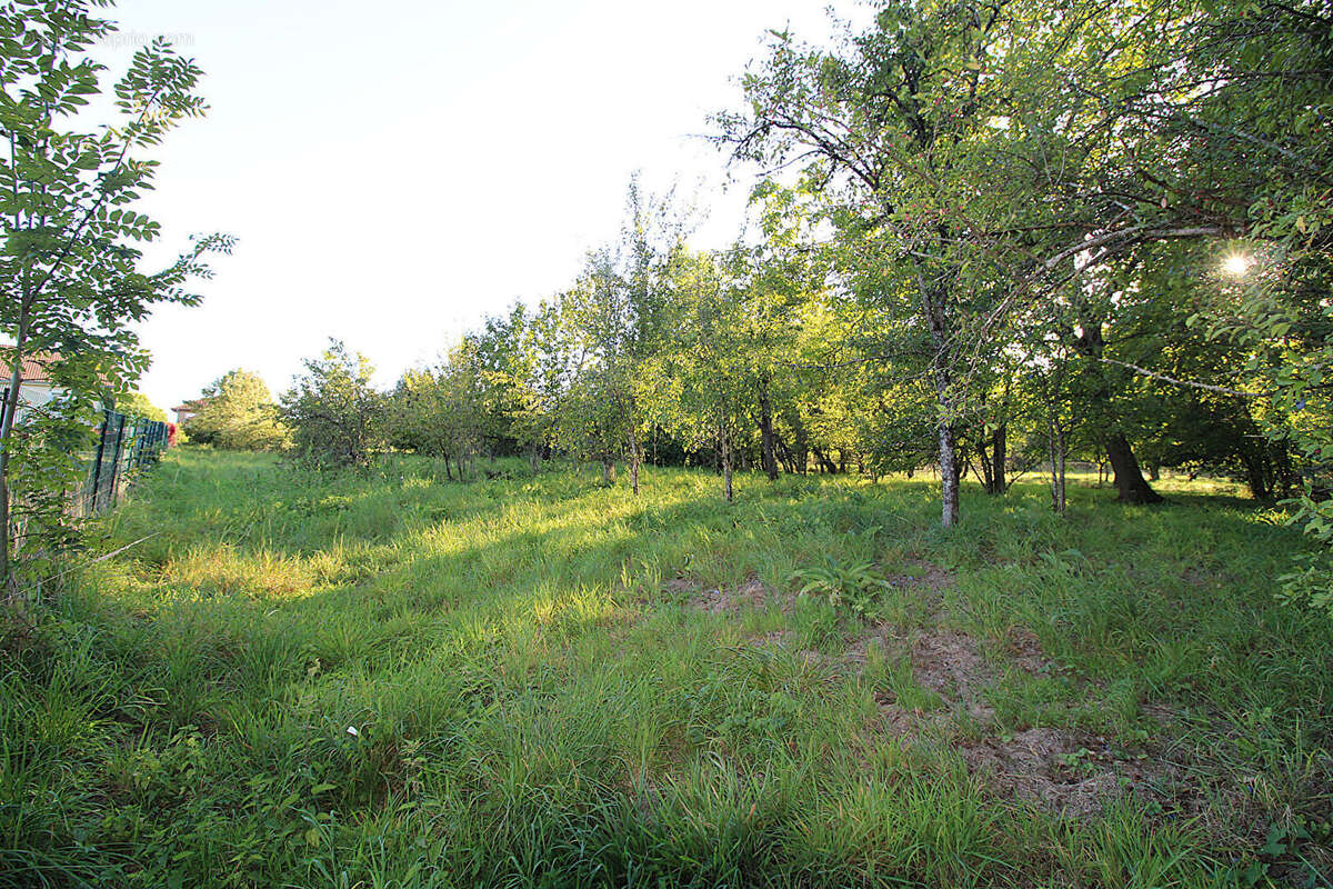Maison à PUELLEMONTIER