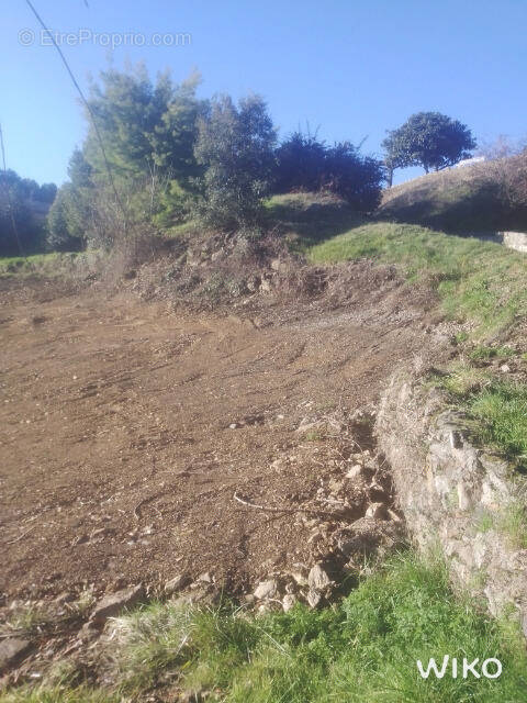 Terrain à CHAMBORIGAUD