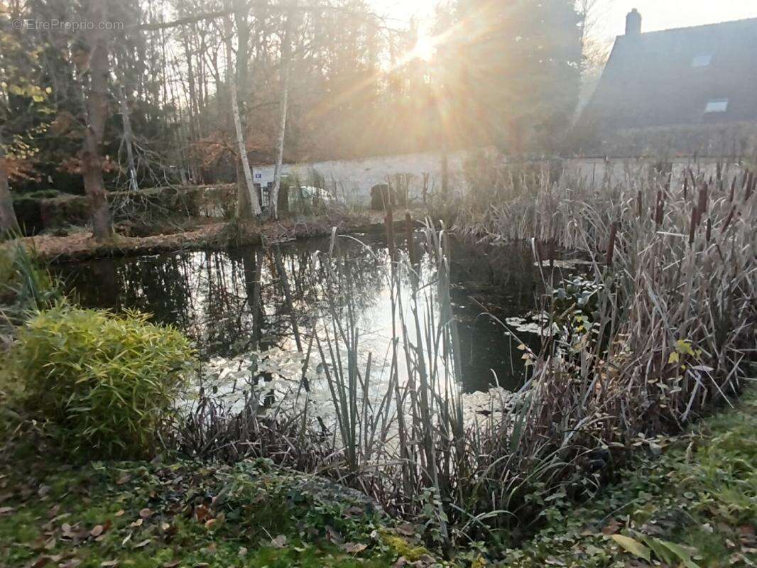 Maison à SILLY-LA-POTERIE