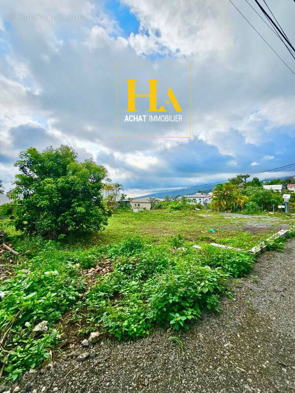 Terrain à LE TAMPON