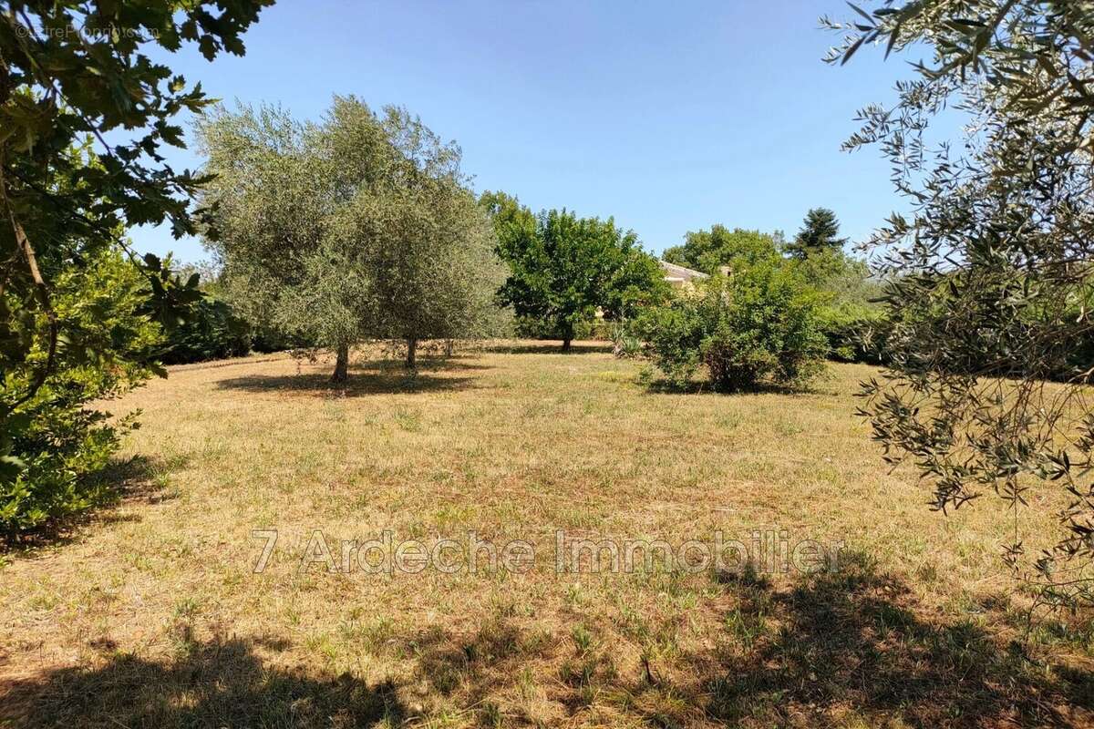 Terrain 1271 m² à Lavilledieu  - photo 7