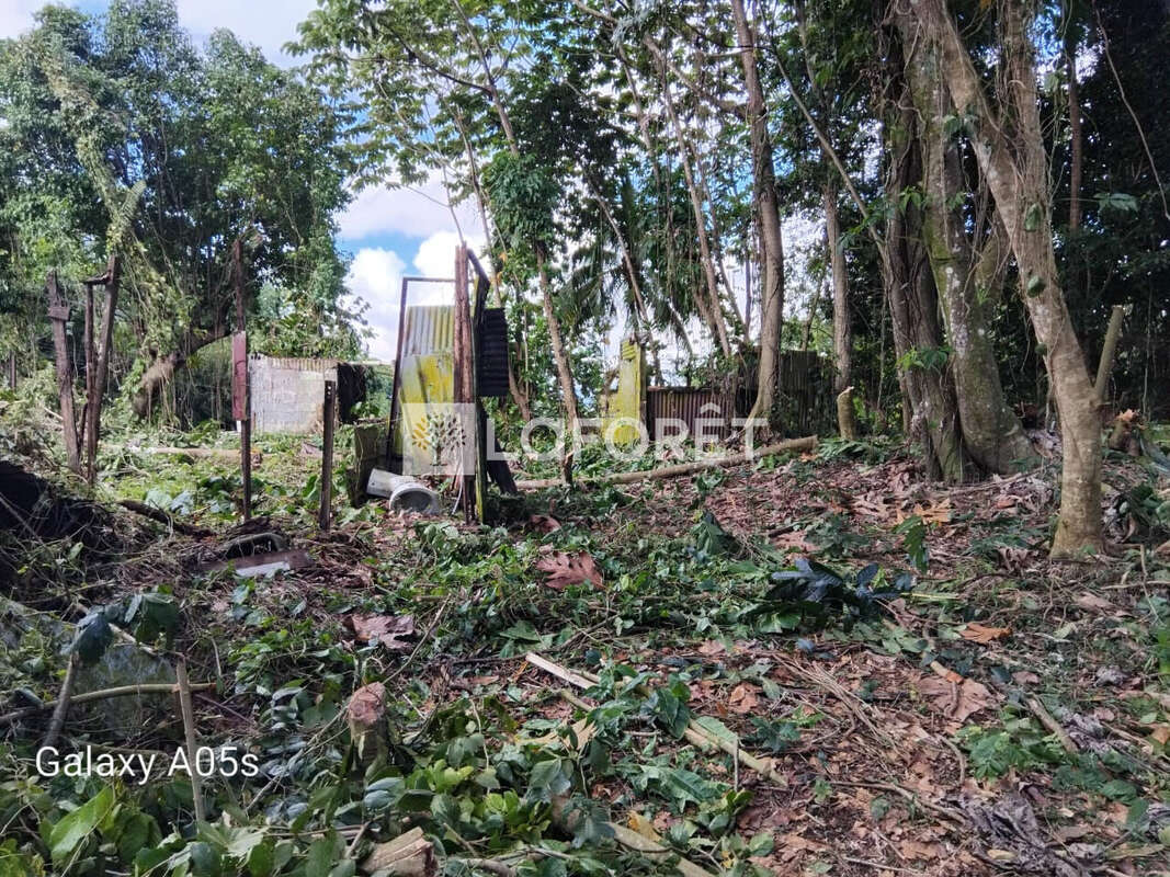 Terrain à LE LAMENTIN