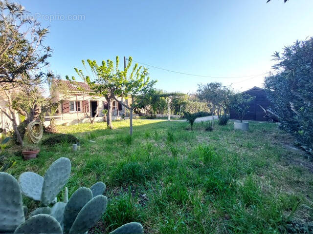 Maison à FRONTIGNAN