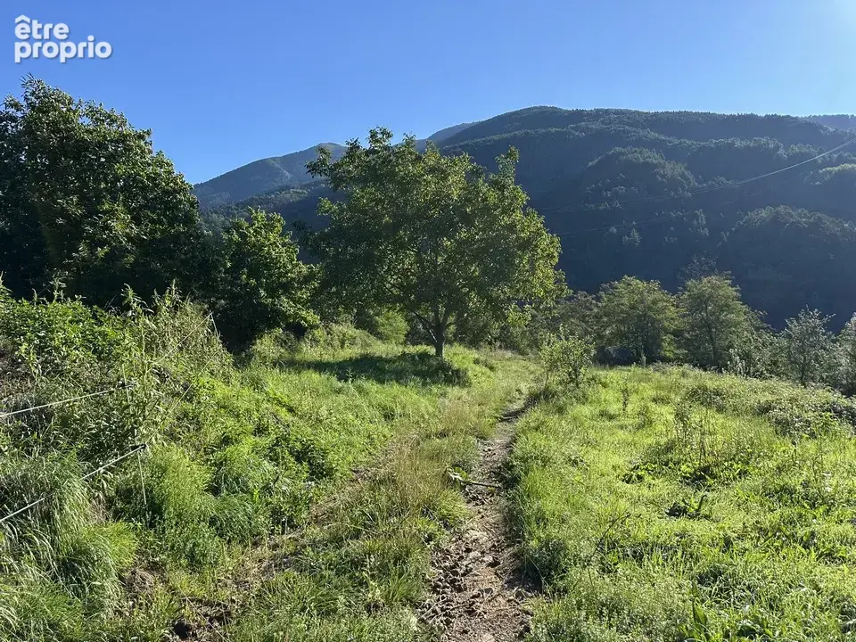 Beau terrain non constructible de 4138 m2 - photo 2