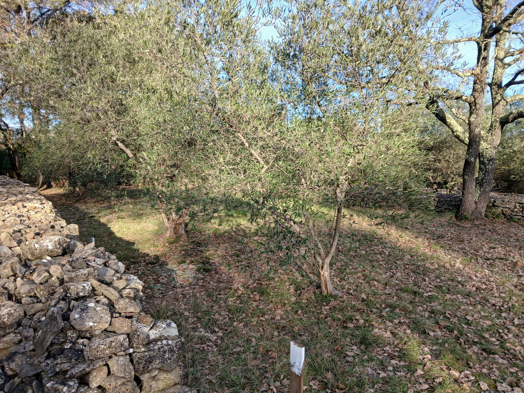 Terrain à DEAUX