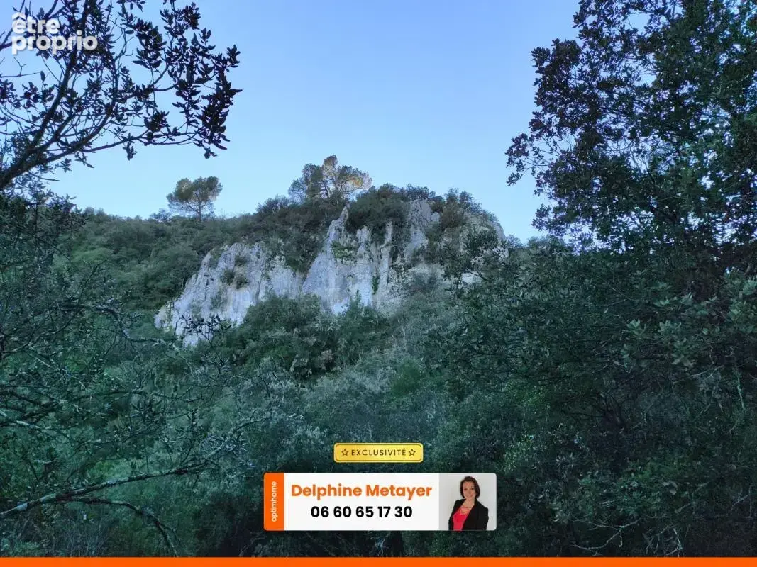 Terrain boisé d'environ 2 hectares en pleine nature, Varages / Verdon - photo 6