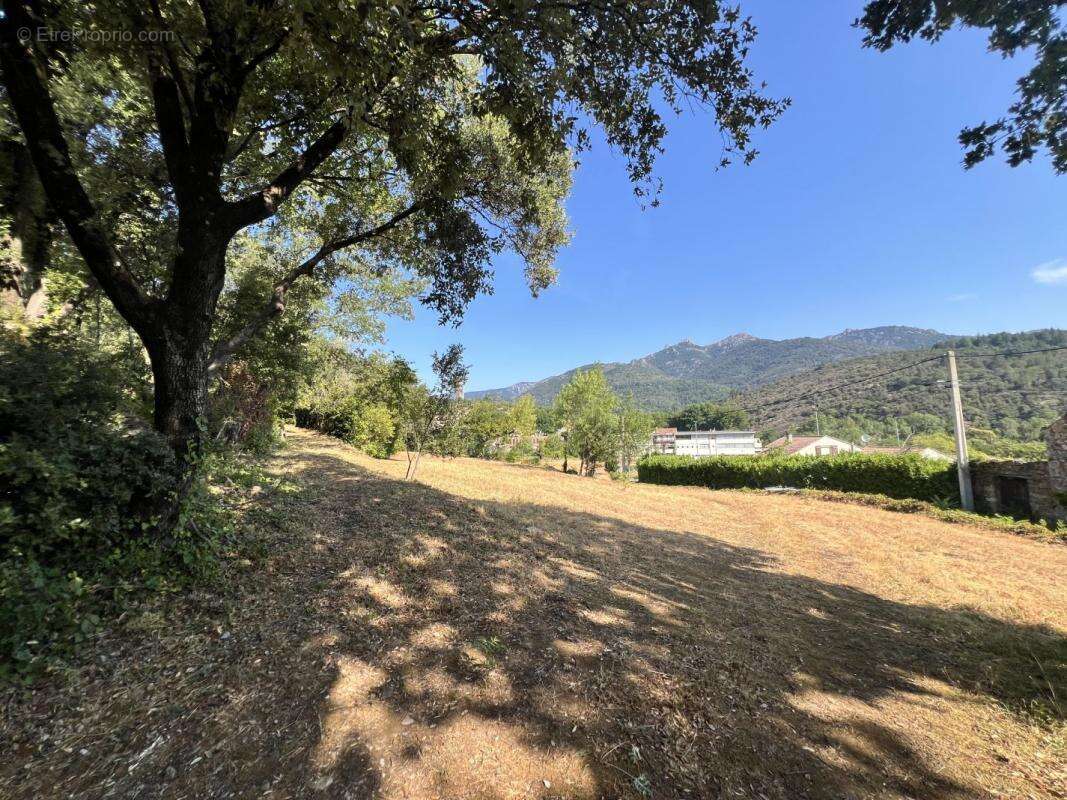 Terrain 20135 m² à Olargues  - photo 3