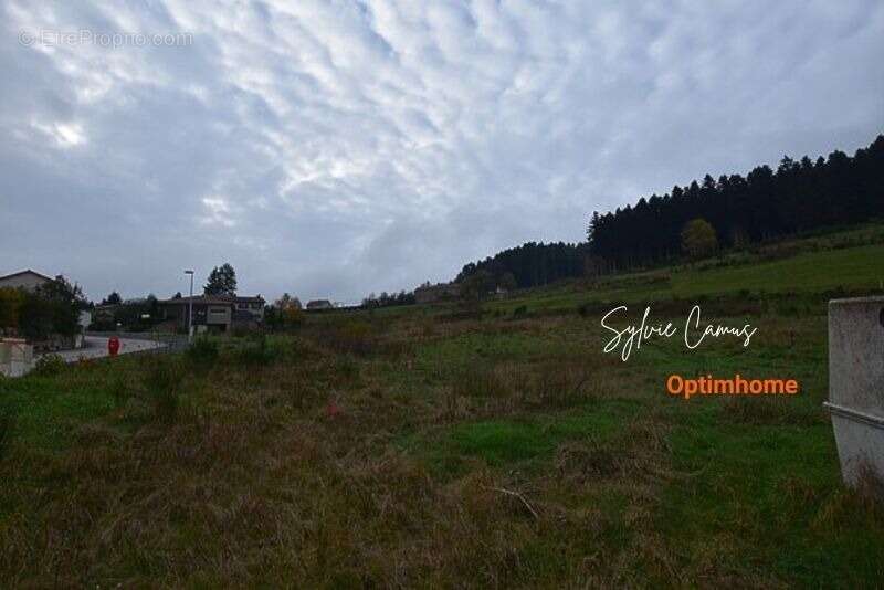 Terrain à DUNIERES