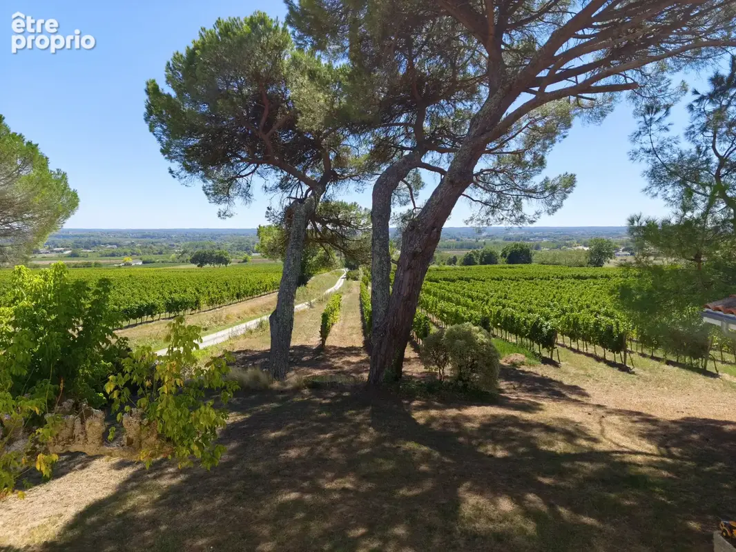 Propriété viticole avec maison, dépendances et vignoble ! - photo 4