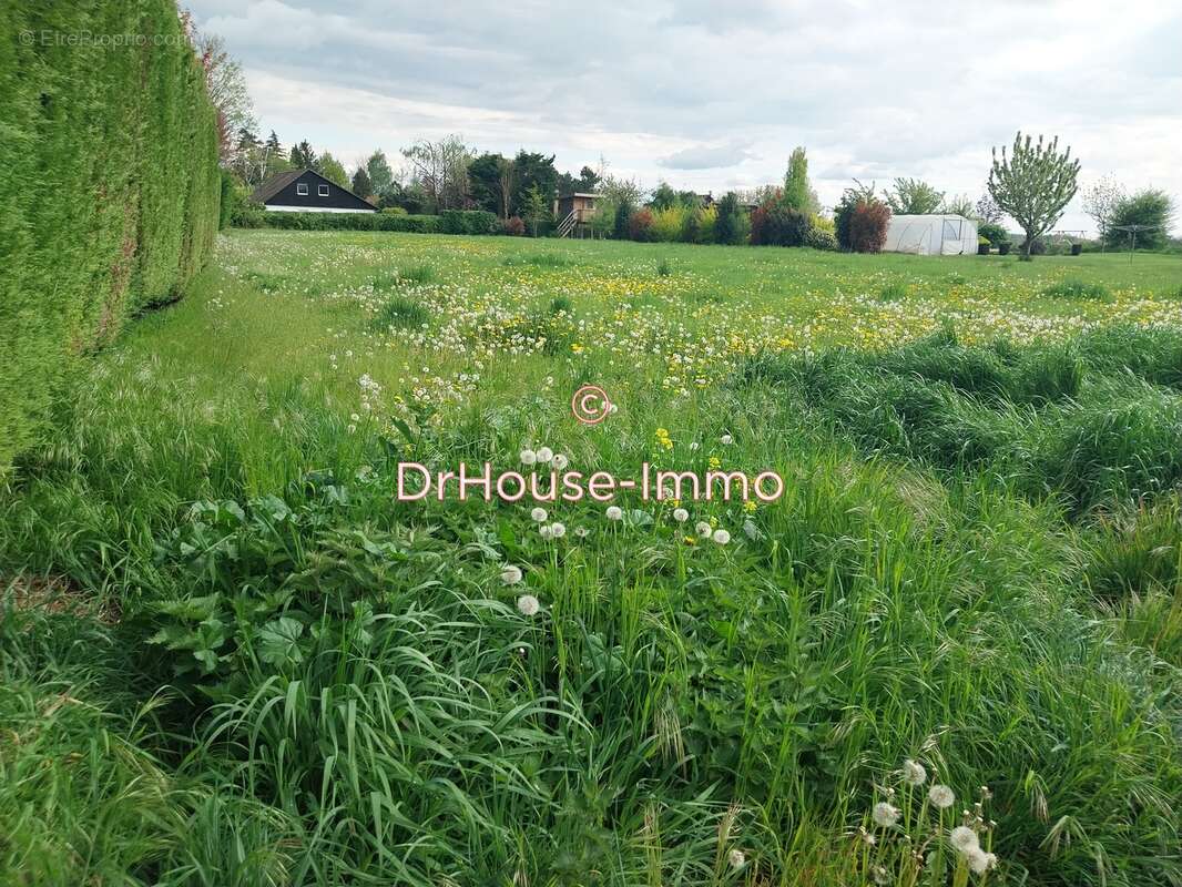 Terrain à SAINGHIN-EN-MELANTOIS