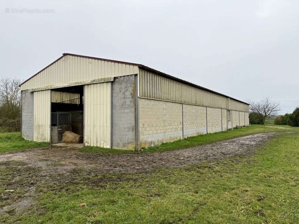 Ecurie 21 box à vendre-Secteur PROVINS-77 - photo 6