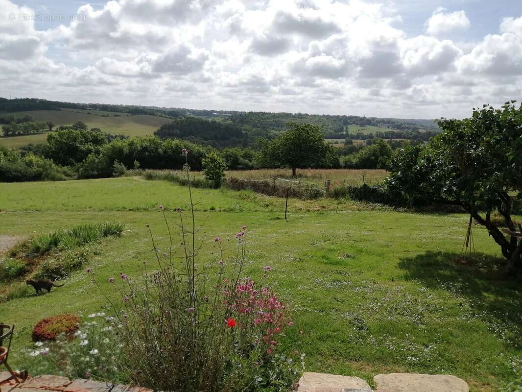 Maison, grange, atelier, hangar et terrain offrant une vue imprenable - photo 14
