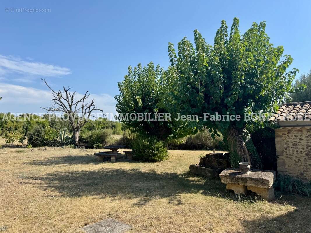 Maison 242 m² à Grillon  - photo 18