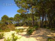 Terrain à SANGUINET