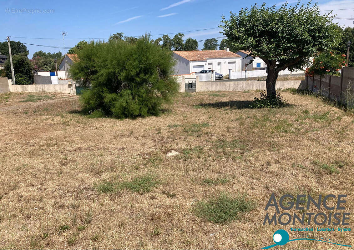 Terrain à NOTRE-DAME-DE-MONTS