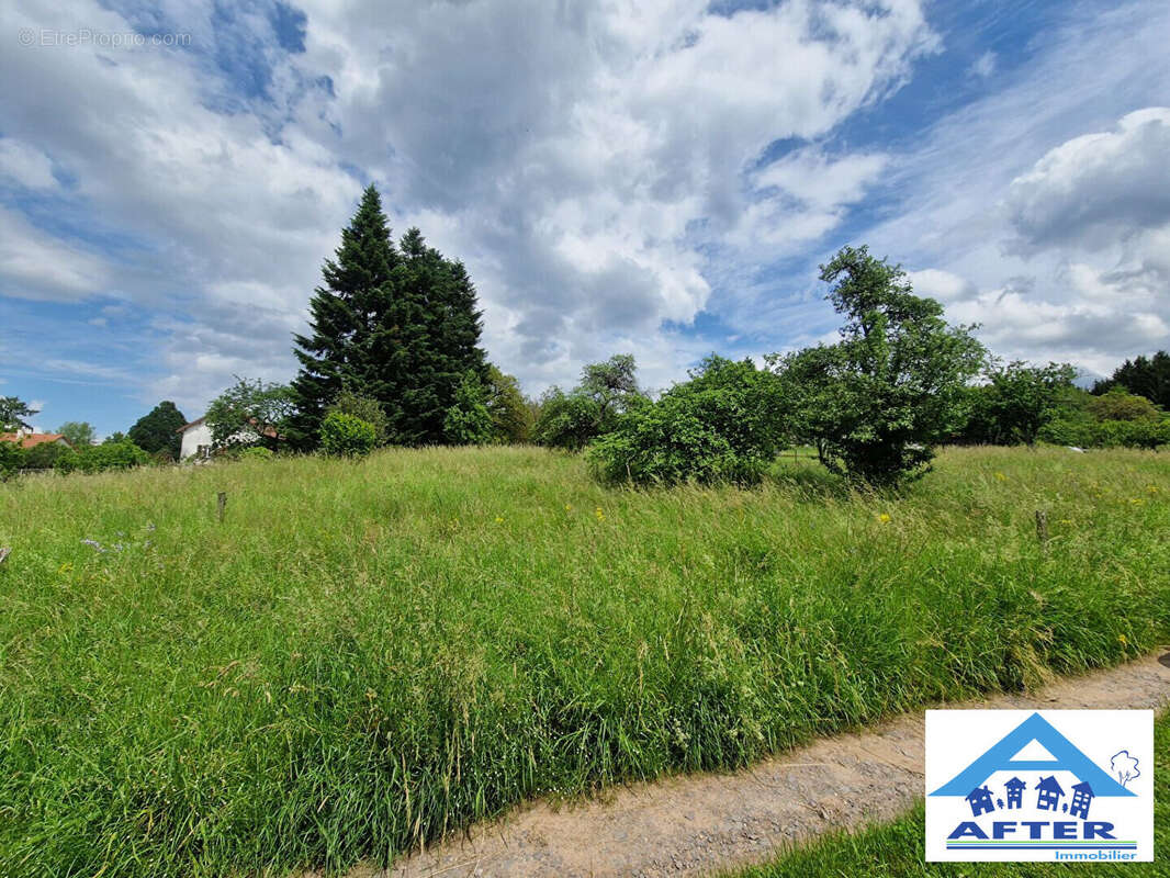 Terrain à BADONVILLER