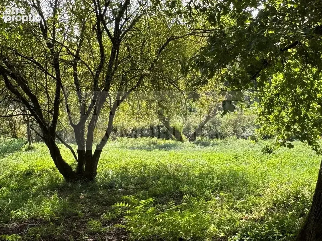 Charmante maison rénovée au cœur de la nature près de Cazals - photo 13