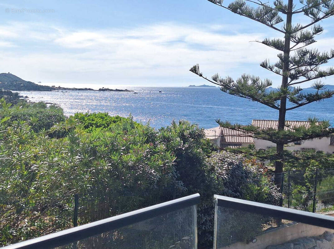 Appartement à PIETROSELLA