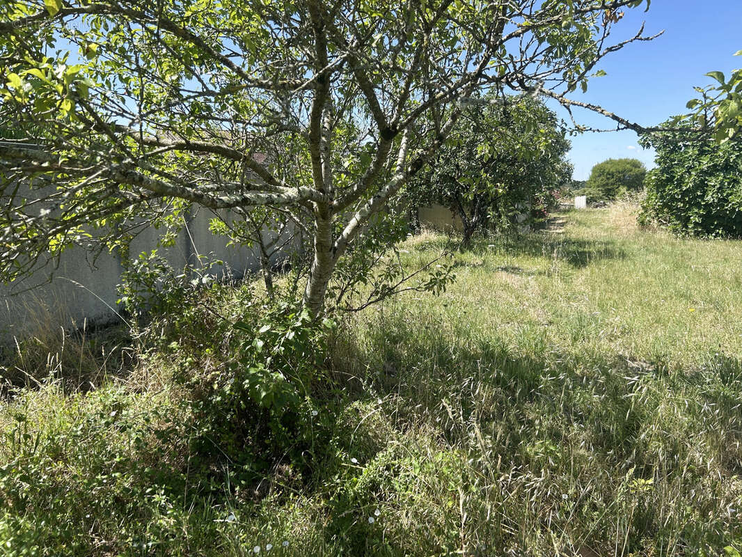 Maison à LE LOROUX-BOTTEREAU