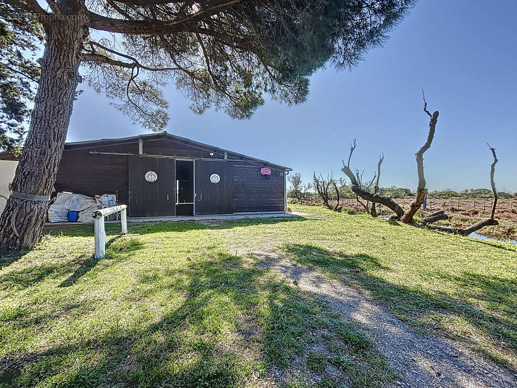 Maison à SAINTES-MARIES-DE-LA-MER