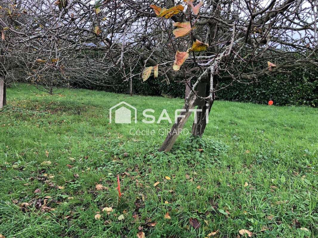 Photo 4 - Terrain à BADEN