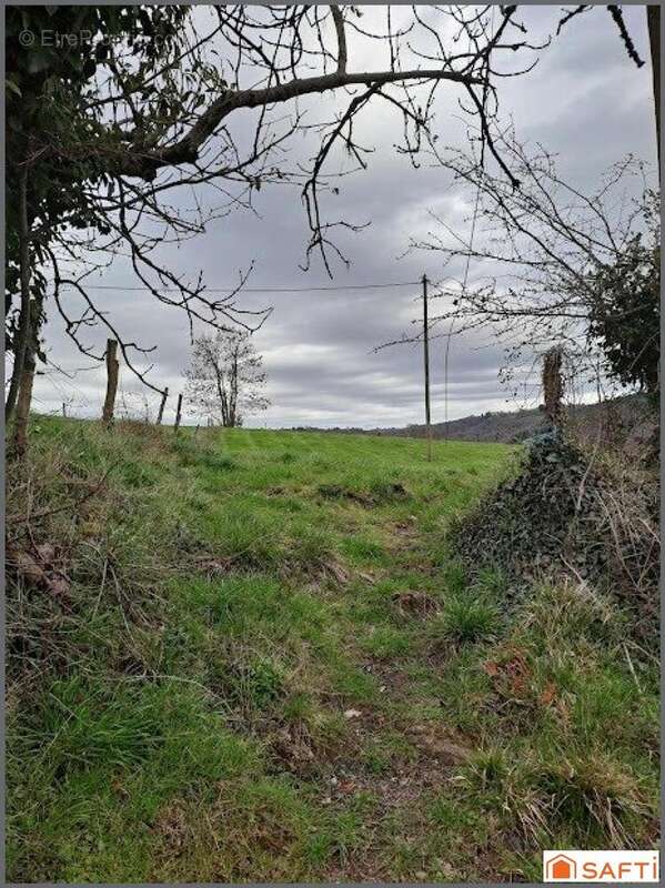 Photo 2 - Terrain à CHABRIGNAC