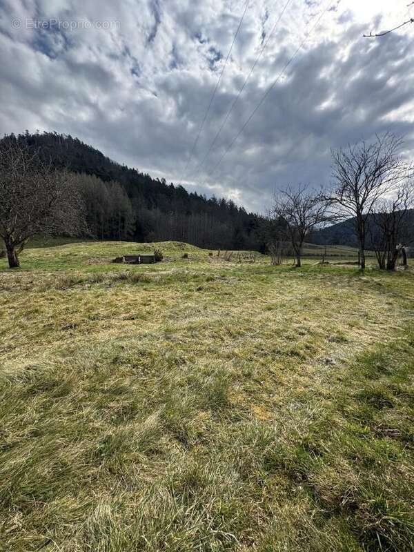 IMG_8532 - Terrain à DOMMARTIN-LES-REMIREMONT