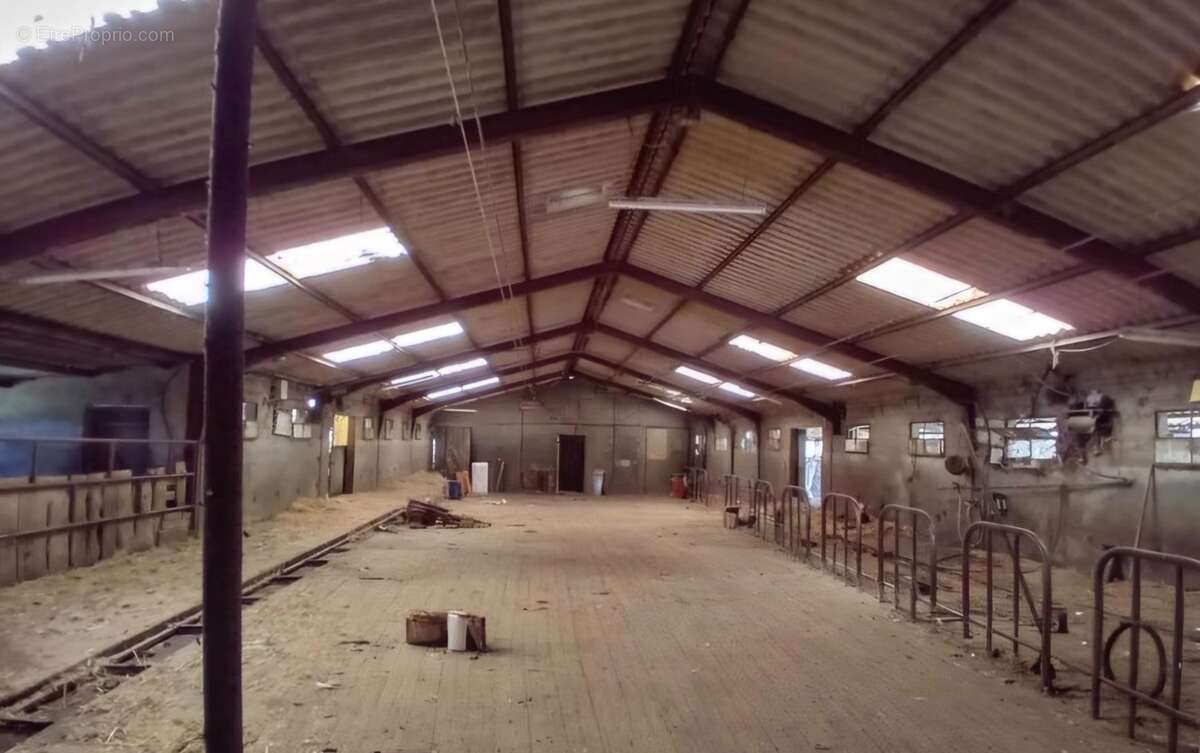 Propriété à vendre – Ancienne seigneurie avec 45 hectares attenants – Proche La Châtre (36) ferme équestre ou agricole - photo 6