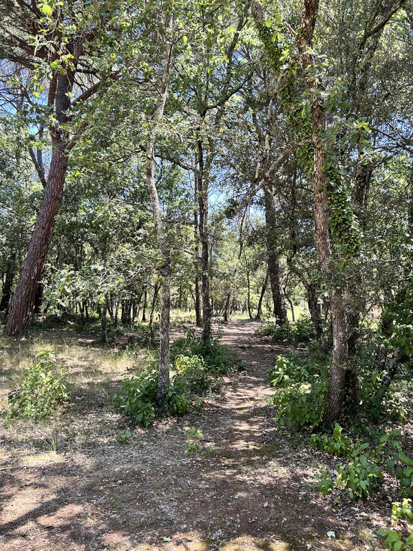 Le Val - A 7 Minutes de l'A8 - Bastide provençale de caractère sur plus de 3 hectares   Piscine   Calme absolu - photo 20