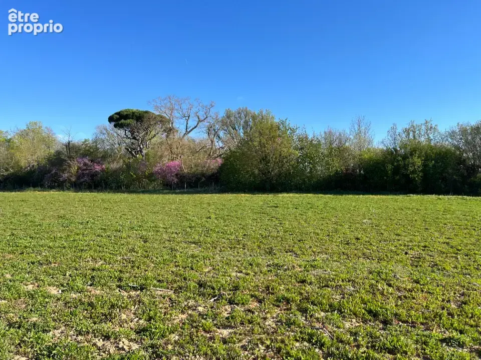 Terrain 557 m² à Labastide-D'anjou  - photo 1