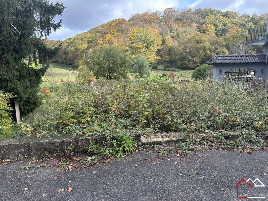 Terrain à MACHEREN