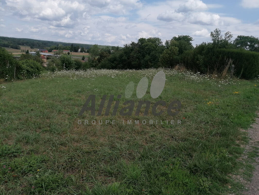 Photo Terrain à Bouligney au prix de 11 900€