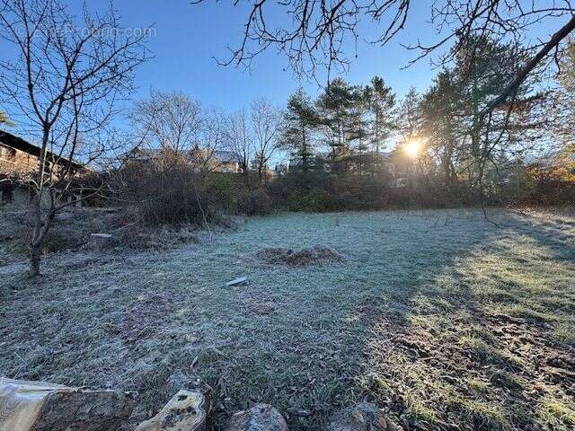 Terrain à SAINT-SAUVEUR