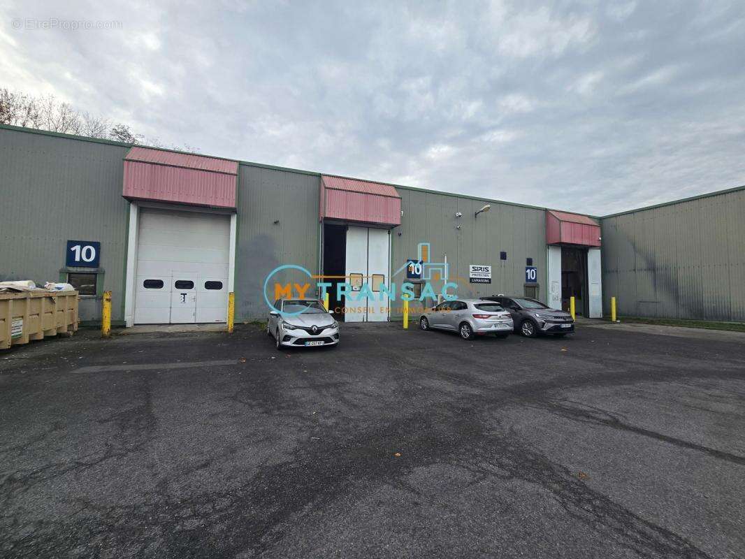 Commerce à SAINT-THIBAULT-DES-VIGNES