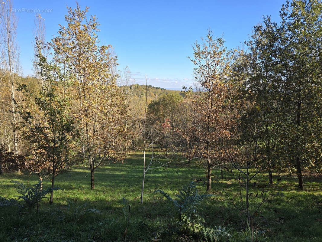 Maison à LISLE-SUR-TARN