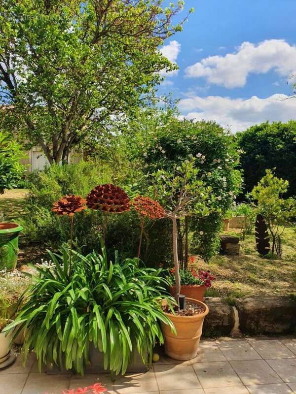 Photo 8 - Maison à ASPIRAN