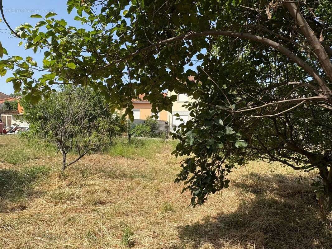 Terrain à PERPIGNAN