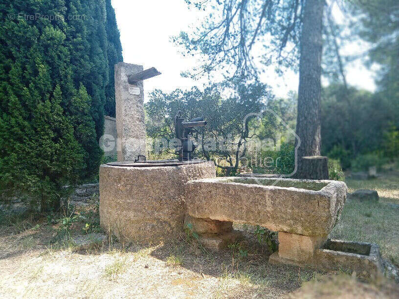 Mazet dans le massif des Alpilles - photo 13