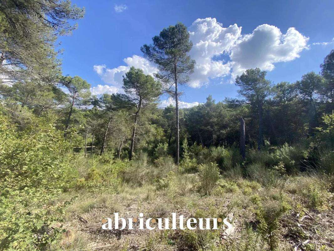 Terrain constructible de 2 653 m² - La-Roque-d'Anthéron (13640) - photo 3
