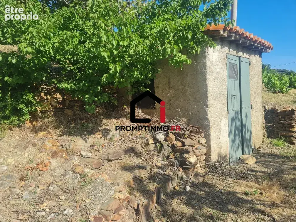 Terrain 19 805 m² à vendre à Port-Vendres (66660) - photo 5