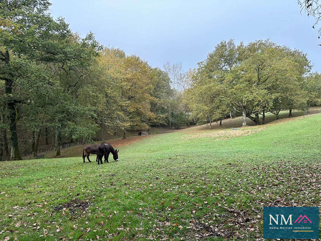 Domaine sur plus de 2 hectares de parc arboré - photo 17