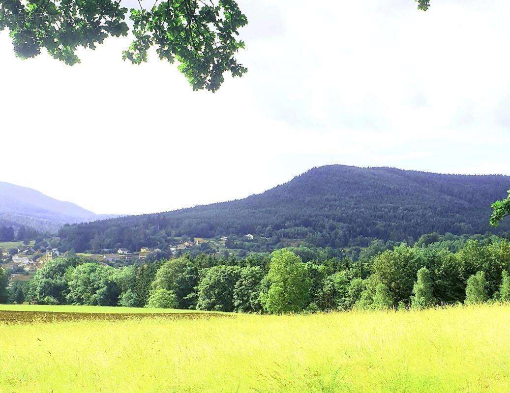 Appartement à SAULXURES