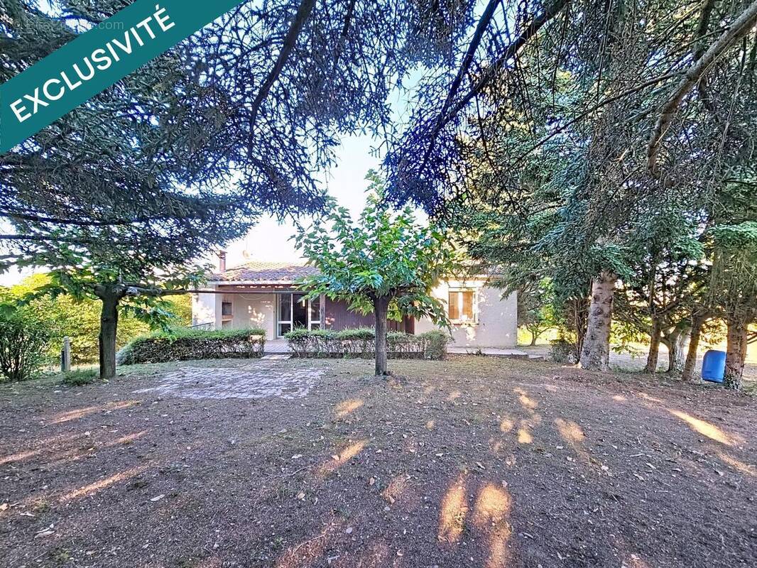 Photo 1 - Maison à ALZONNE