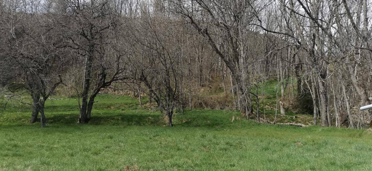 Terrain à LE FRENEY-D'OISANS
