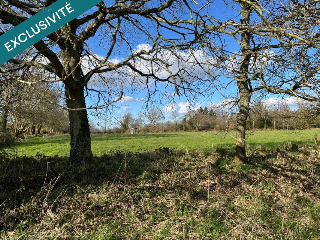 Photo 5 - Maison à PLOUMILLIAU