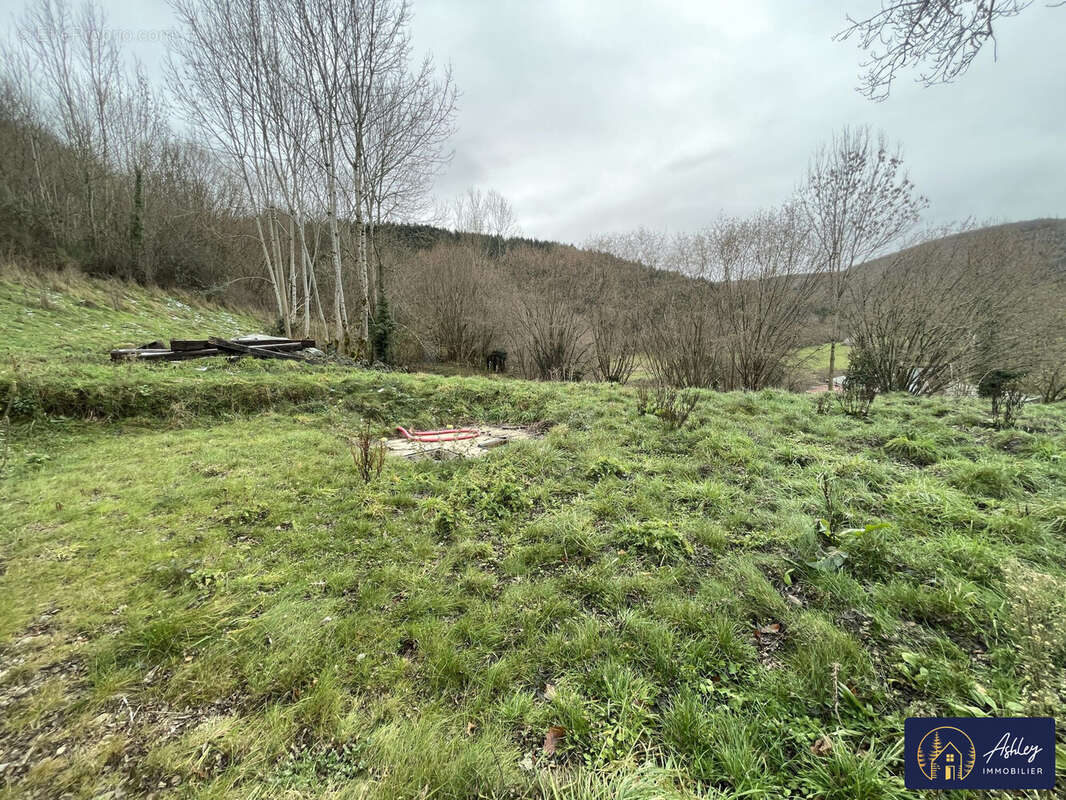 Maison à MARCHASTEL