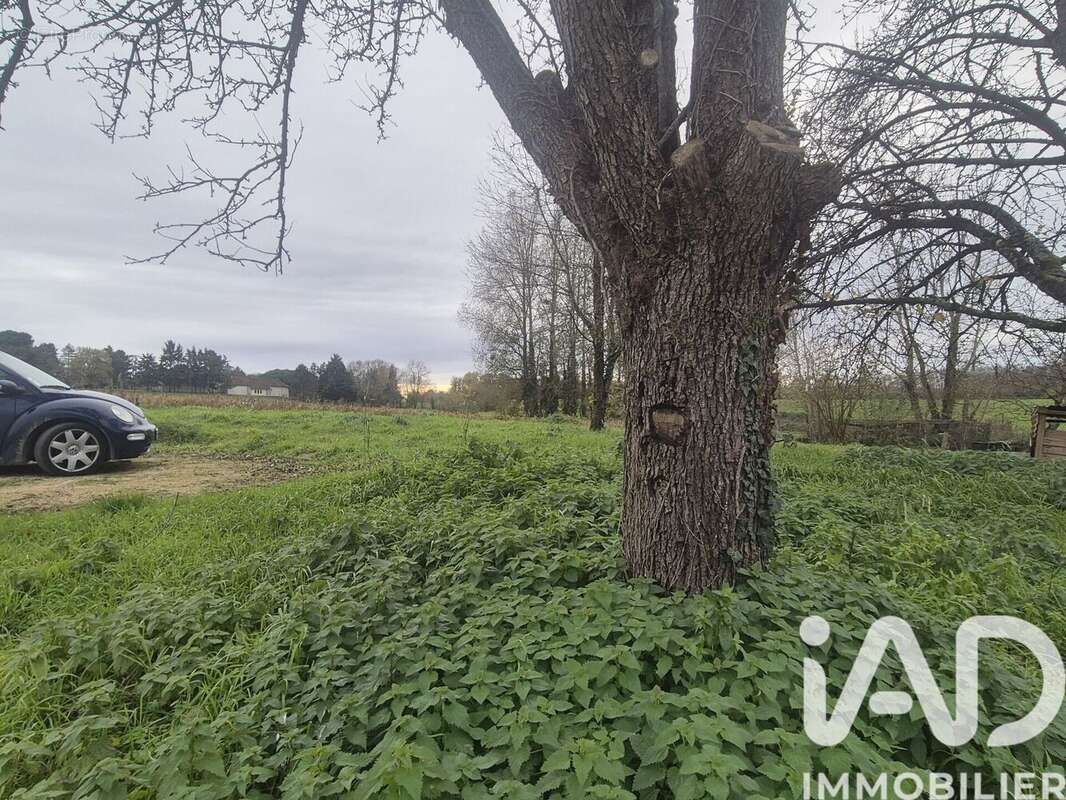 Photo 2 - Maison à ORCHES